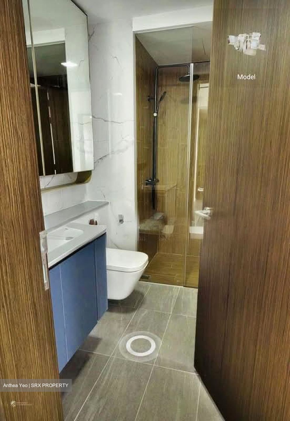 Amo Residence (D20), Apartment #556557461